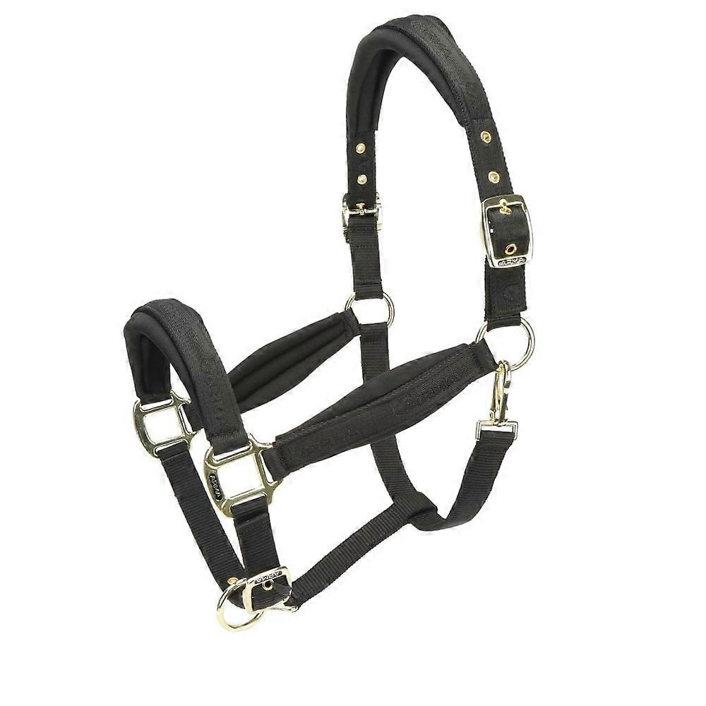 Shires Arma Padded Headcollar - Black