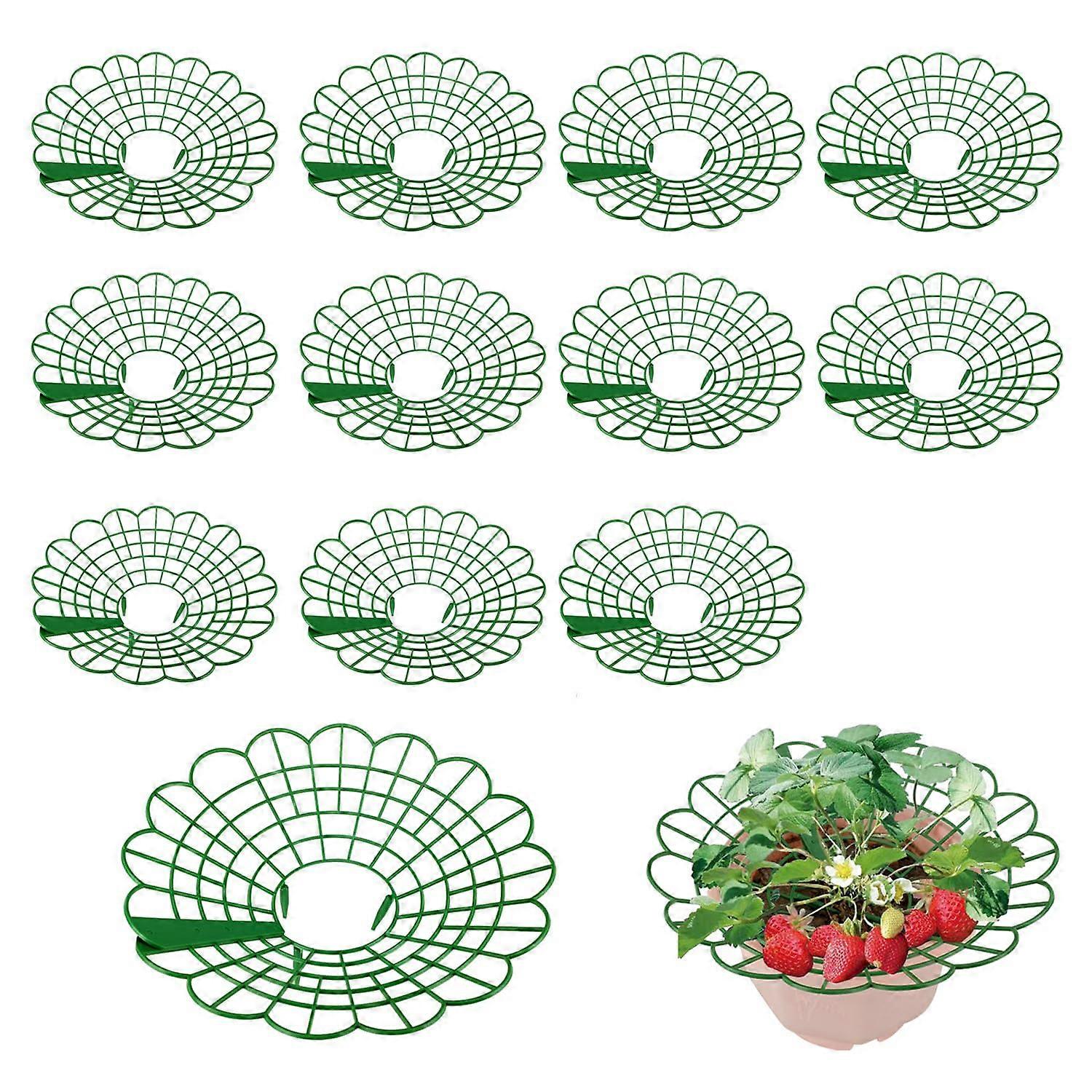 Pack of 12 Strawberry Support Stands, Protector from Red and Mould, Green