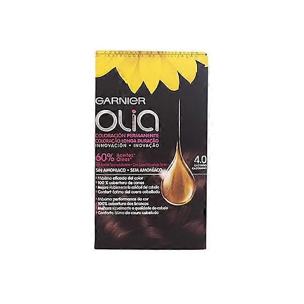 Garnier Olia Permanent Coloring 4,0 Brown