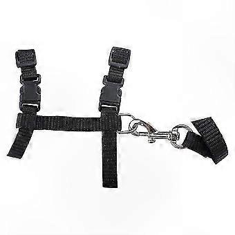 Adjustable Nylon Pet Harness with Leash for Small Cats and Dogs, Outdoor Walking Safety Breakaway Collar, Black