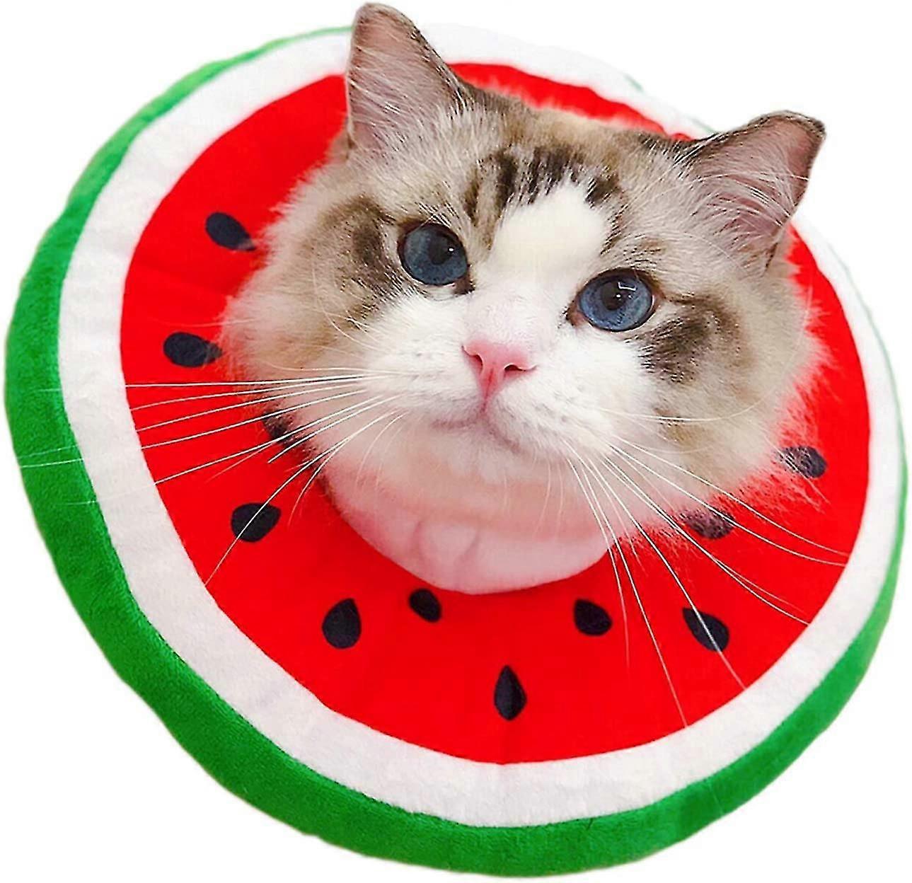 Heytea Cat Cone Collar Soft Adjustable Cat Recovery Collar Wound Healing Protective Cat Cones After Surgery Cute cat Elizabethan Collar for Dogs(ELC04