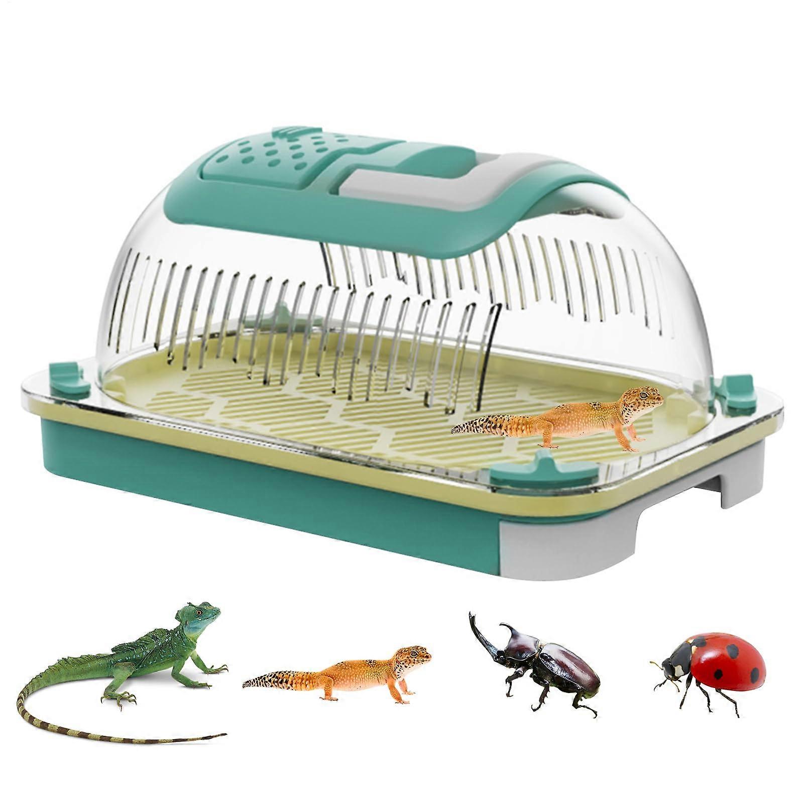 Terrarium Box Breathable Portable Reptile Enclosure Durable Keeper Box For Outdoor Or Indoor Use