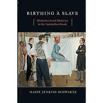 Fødsel en Slave: mødre og medisin Antebellum Sør
