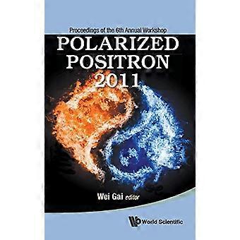 Polarisert Positron 2011