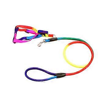 Rainbow Color Dog Leash for Pet Traction Rope Durable Adjustable Harness