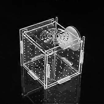 Fish Breeding Box Aquarium Small Incubator With Suction Cup For Newborn Shrimp