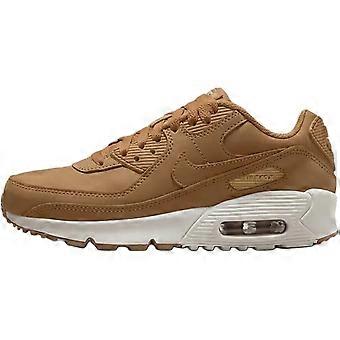 Chaussures décontractées basses Nike Air Max 90 marron unisexe HF6358-200