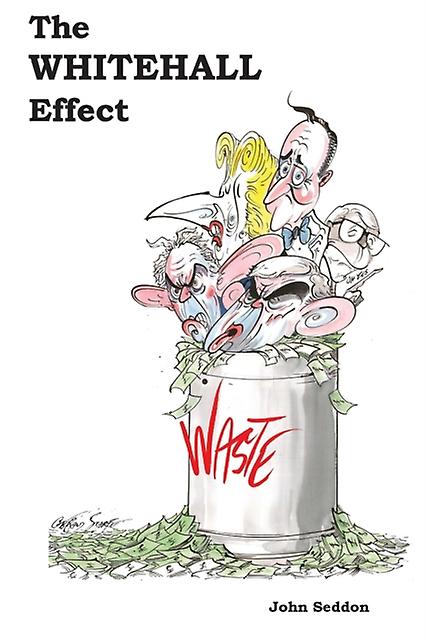 The Whitehall Effect by John Seddon Paperback