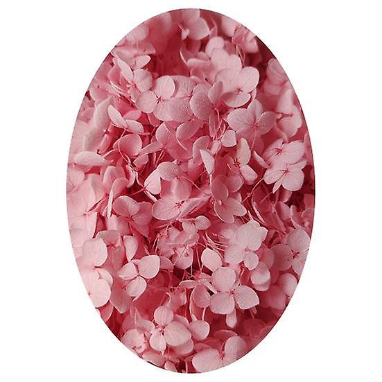 1 Box Preserved Dried Flower Colorfast Widely Applied Natural Practical Beautiful Preserved Dried Hydrangea Party Favors