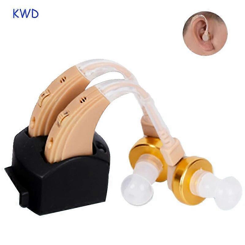 1 paire rechargeable Appareil d’aide auditive Aide auditive Haute puissance Aide auditive Instrument d’oreille Double écouteurs Dispositif de surdité