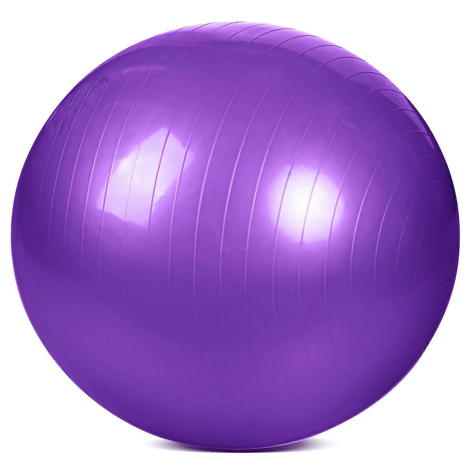 Yoga Balls For Exercise Ball Large Exercise Ball Balance Balls For Exercise Inflatable Balls 75cm Purple 1 Set