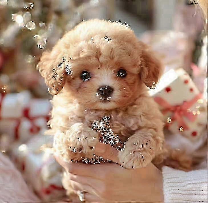 2025 New Robot Dog for Adults, AI Robotic Dog, Nicoo - My Realistic Robot Puppy That Acts Like a Real Puppy - Walking, Barking, Tail Wagging 2025