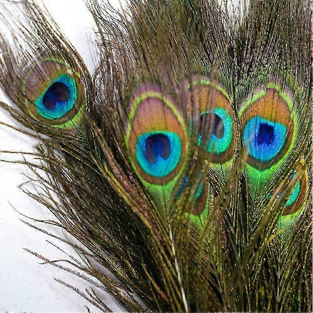 Natural Peacock Tail Eyes Feathers Long BOUQUET