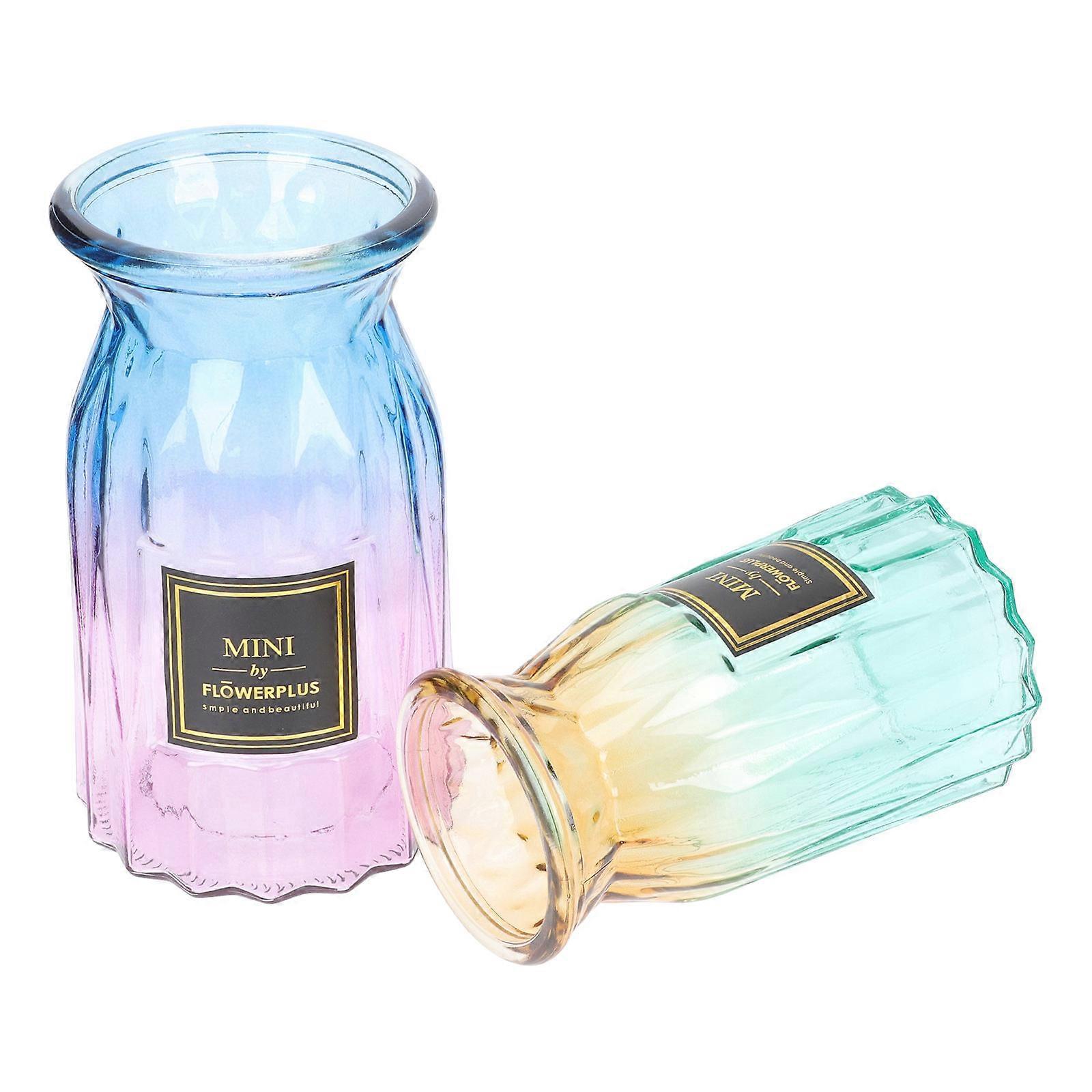 Glass Flower Container Colorful Vase for Home Use 2Pcs Decorative Vessels