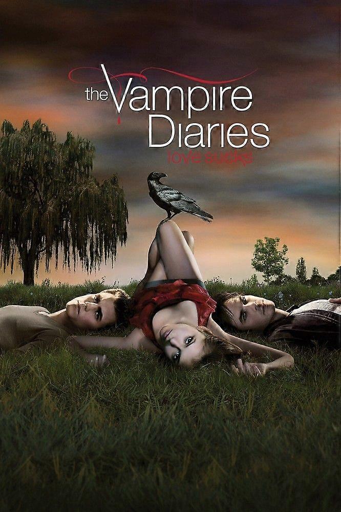 The Vampire Diaries Jigsaw Puzzle Brain Teaser EB 4979