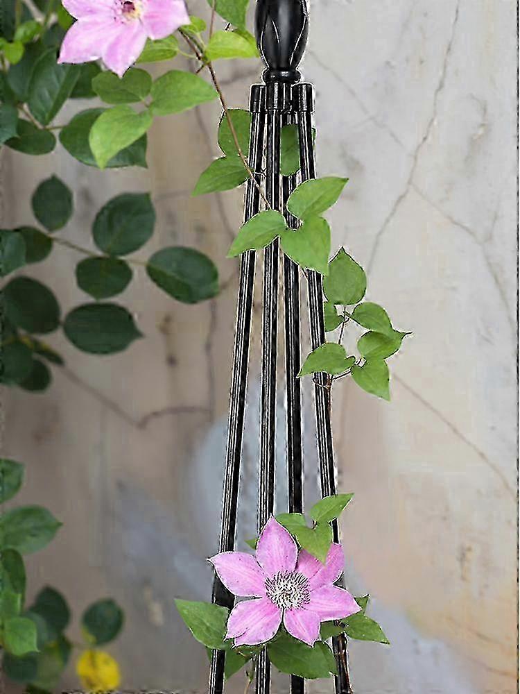 Fast Assembly Plant Support Without Tools 2025