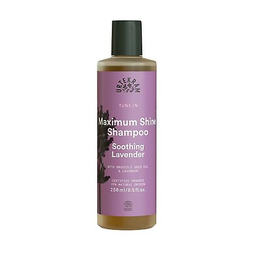 Lavender Soothing Shampoo 250 ml