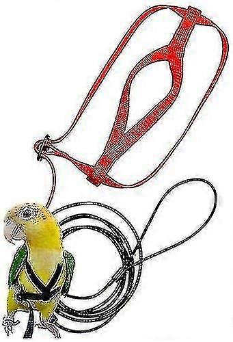 Bird Adjustable Leashes