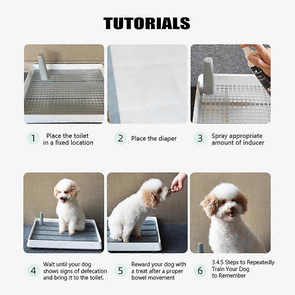 Grid Guinea Pig Litter Pan Litter Pan With Grid Dog Training Pan