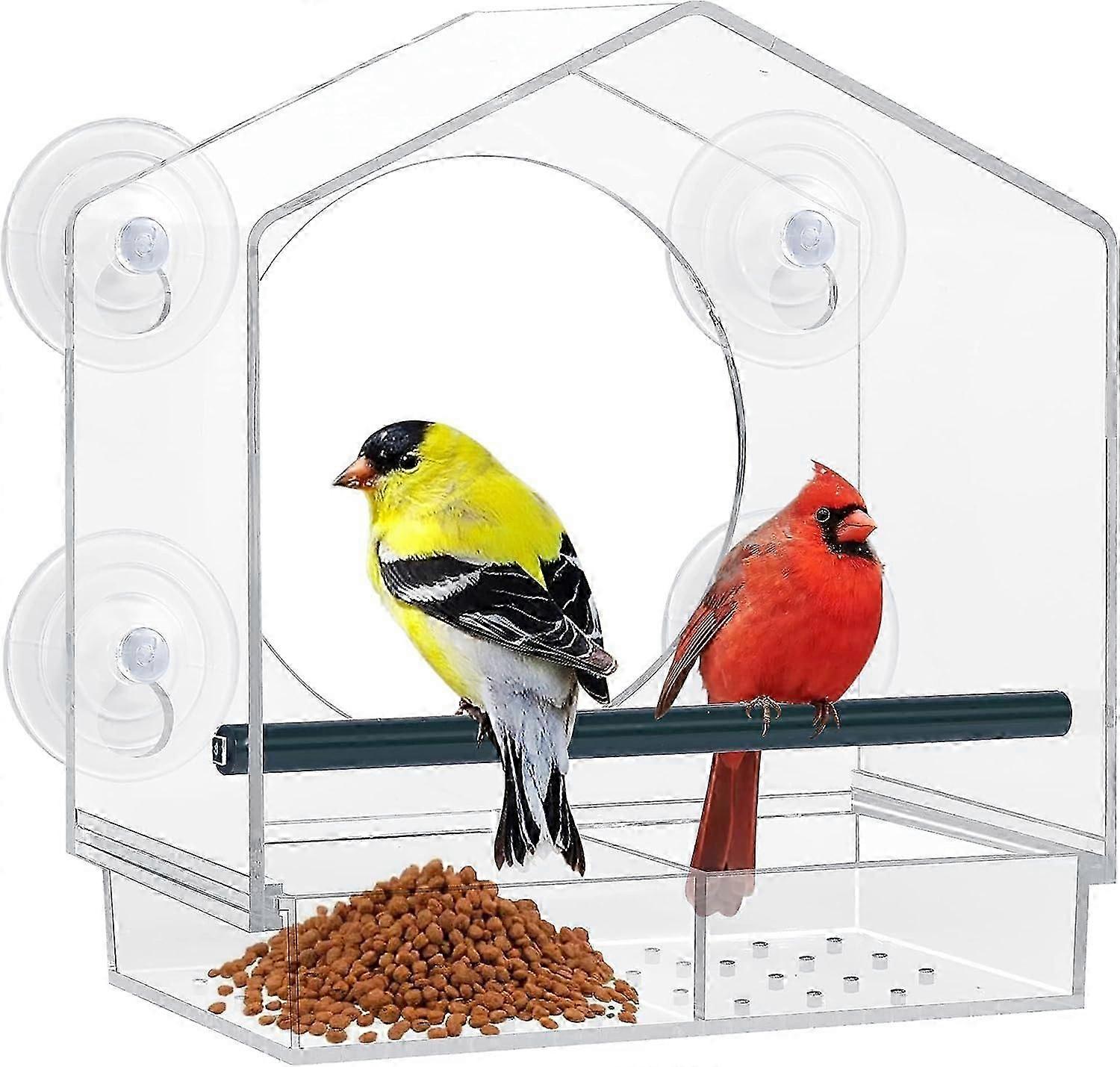 Clear Glass Window Viewing Bird Feeder Table - Birdwatching Delight