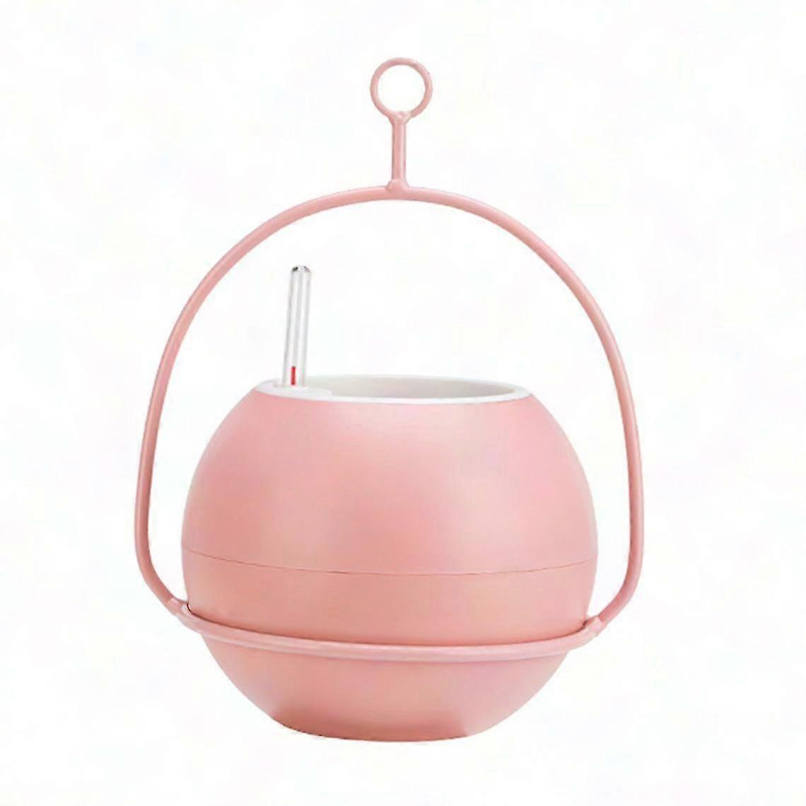 Creative Plant Hanger Planter