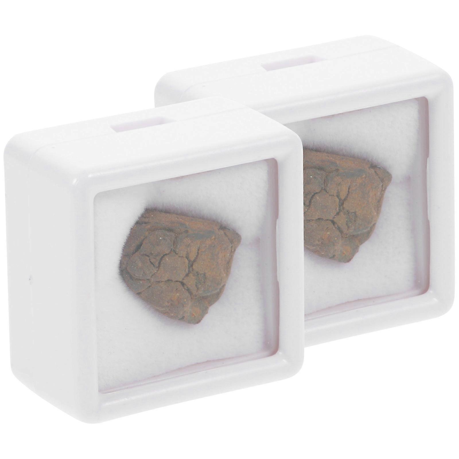2Pcs Lithosiderite Meteorite Adornment for Decoration Educational Specimen