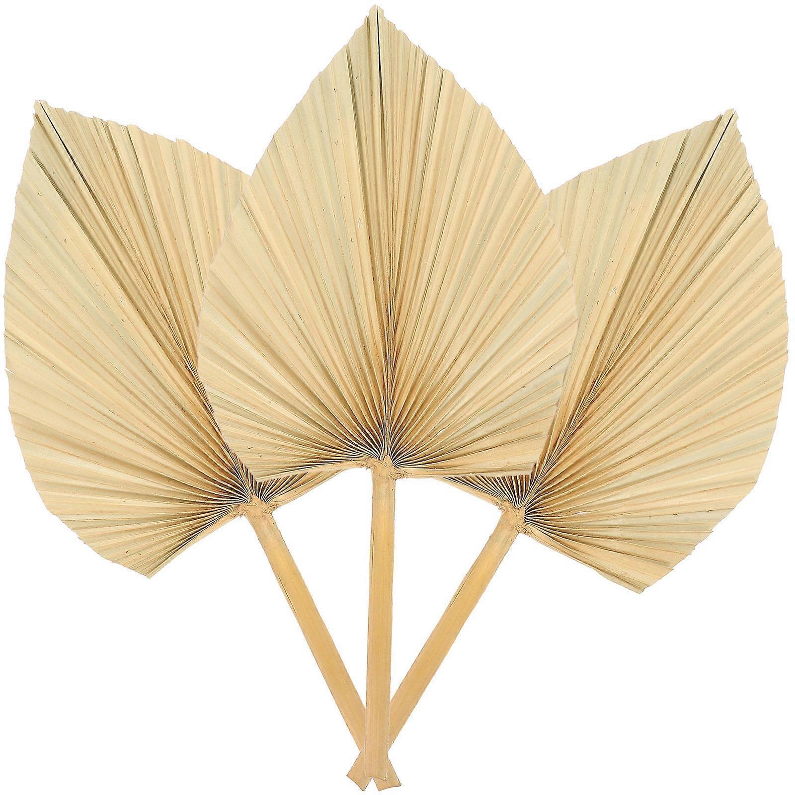 Dried Palm Leaf Decor Wedding Party Layout Palm Leaf Decorative 9Pcs