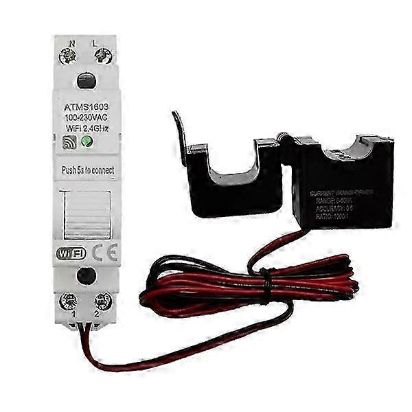 Atms1603 Tuya Single-Phase Wifi Smart Energy Meter 100a DIN Rail Precise Measurement Voltmeter