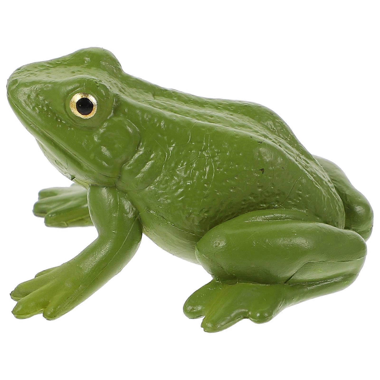 Kid Toy Figurine Frog Model for Teaching Prop 2Pcs Realistic Educational
