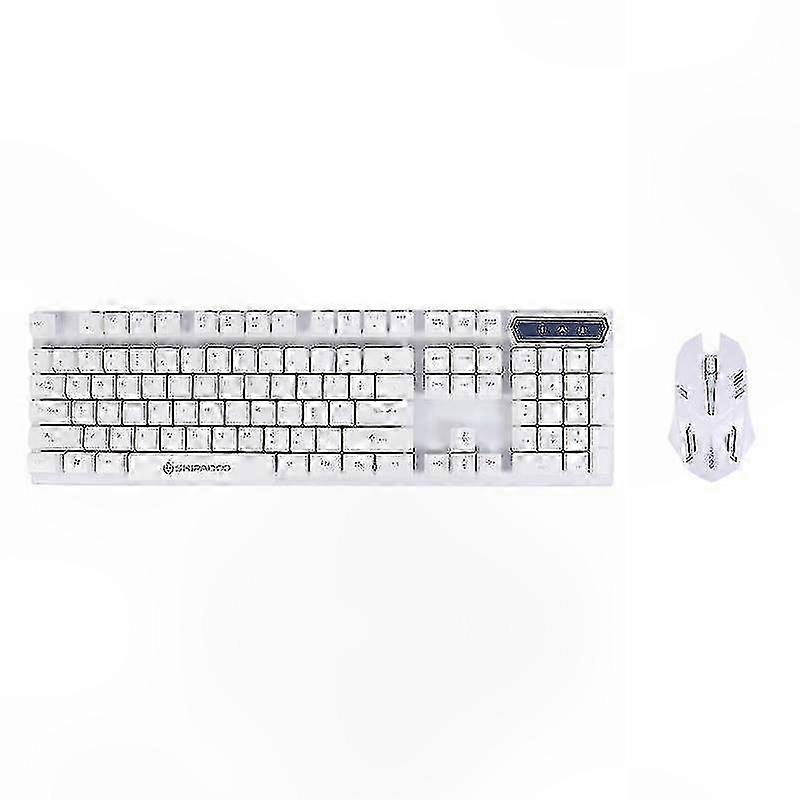 Illuminated Keyboard and Mouse Set compatible with Computers