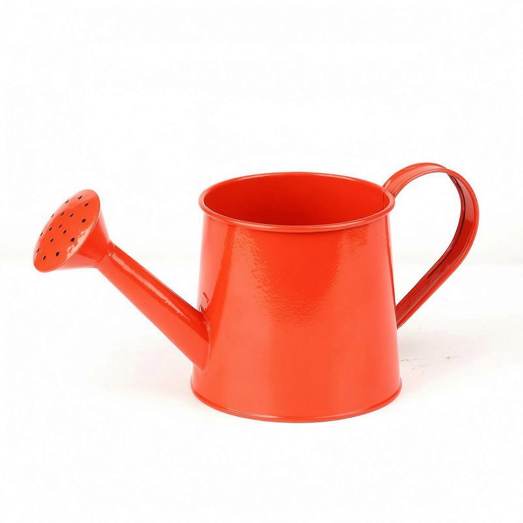 Sturdy Large-Capacity Watering Pot