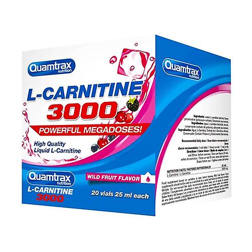 L-carnitine 3000 wild fruits 20 vials of 25ml