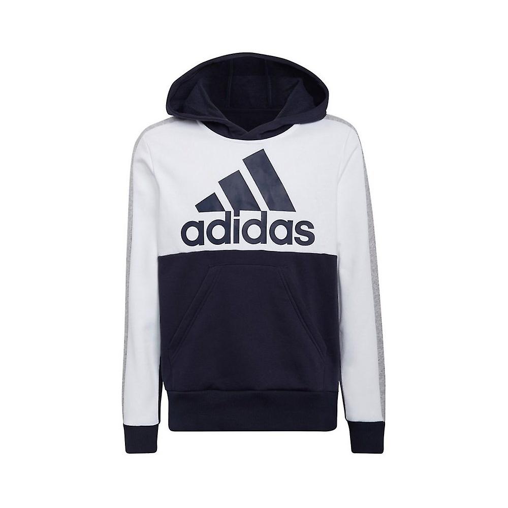 Hoodie Adidas colorblock fleece jr HC5659