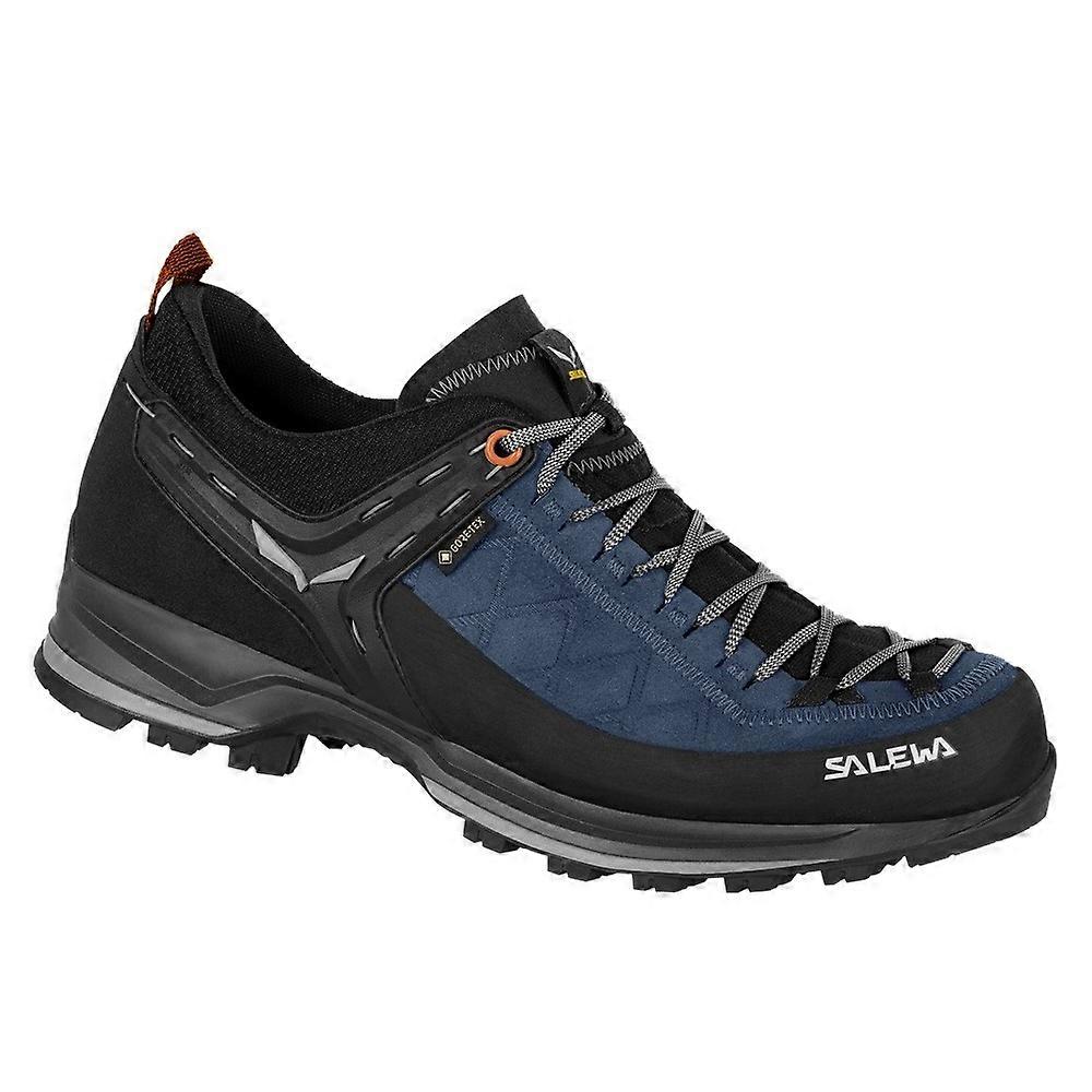 Shoes Salewa Mtn Trainer 2 Gtx 613562490