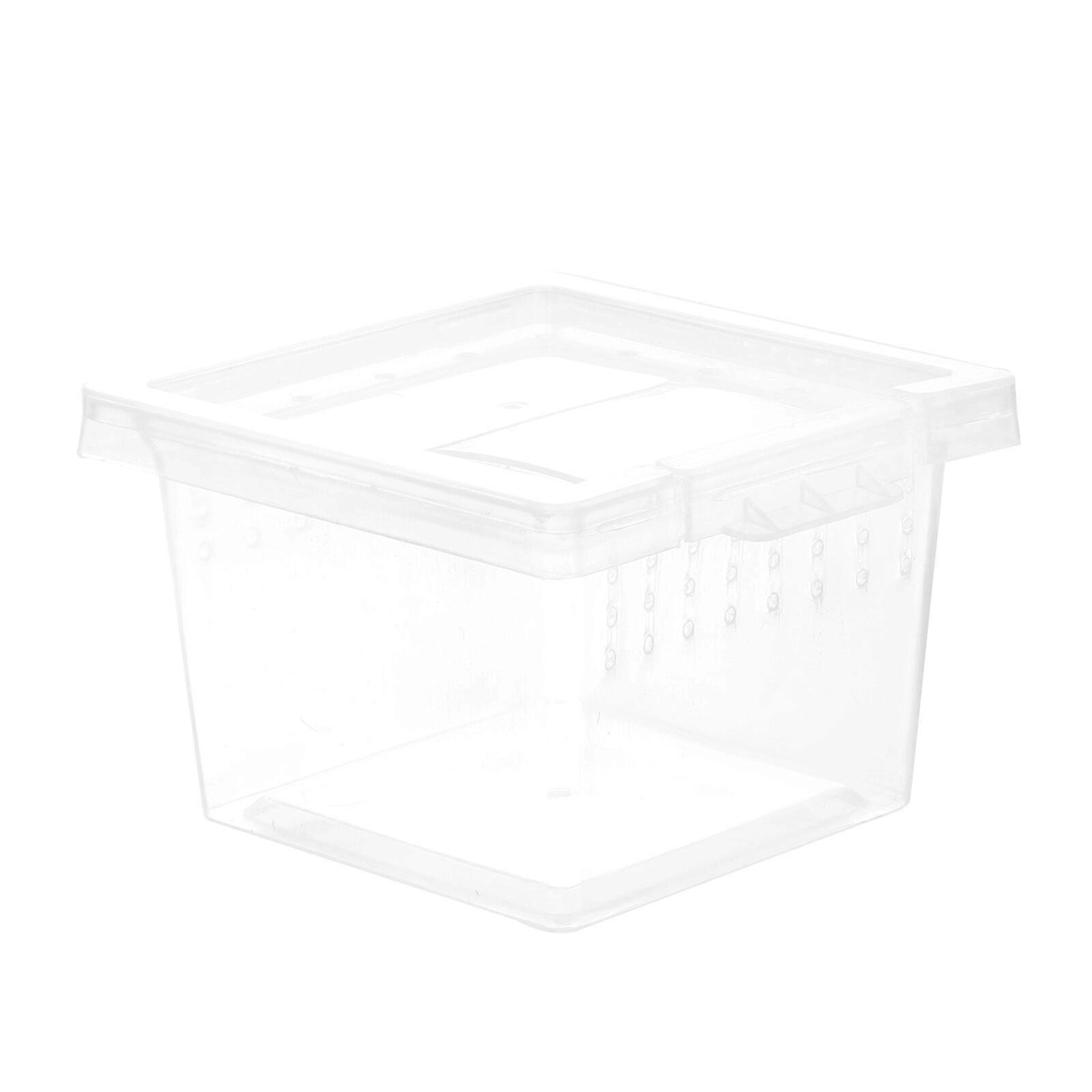 Transparent Reptile Breeding Box Plastic Lizard Feeding Box Practical Pet Feeding Box