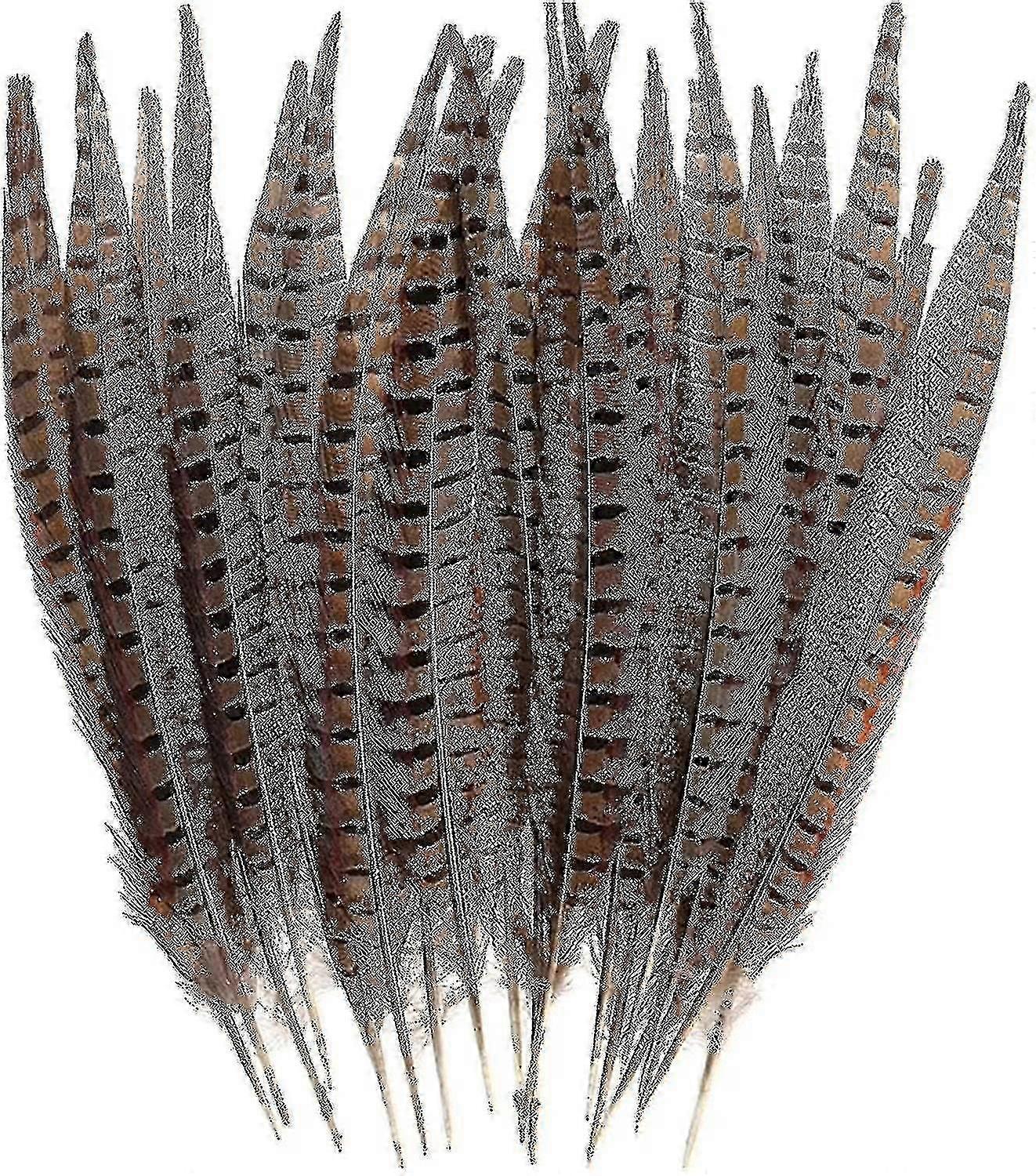 Natural Pheasant Tail Feathers Long Pheasant Feathers Decor Diy Carnival Accessories