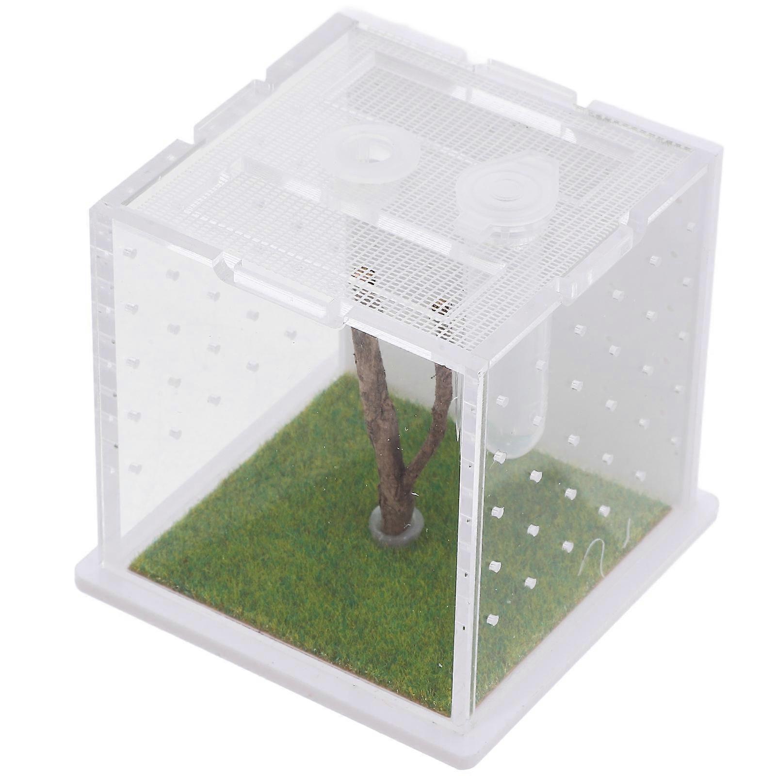 Jumping Spider Terrarium Acrylic Feeding Case 4Pcs Clear Enclosure Boxes