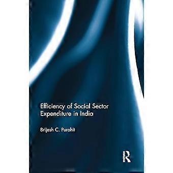 Efficiency of Social Sector Expenditure in India