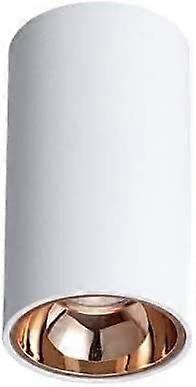 Down Lights Indoor Recessed Ceiling Light LED 10W Single Spotlight Gold Finish