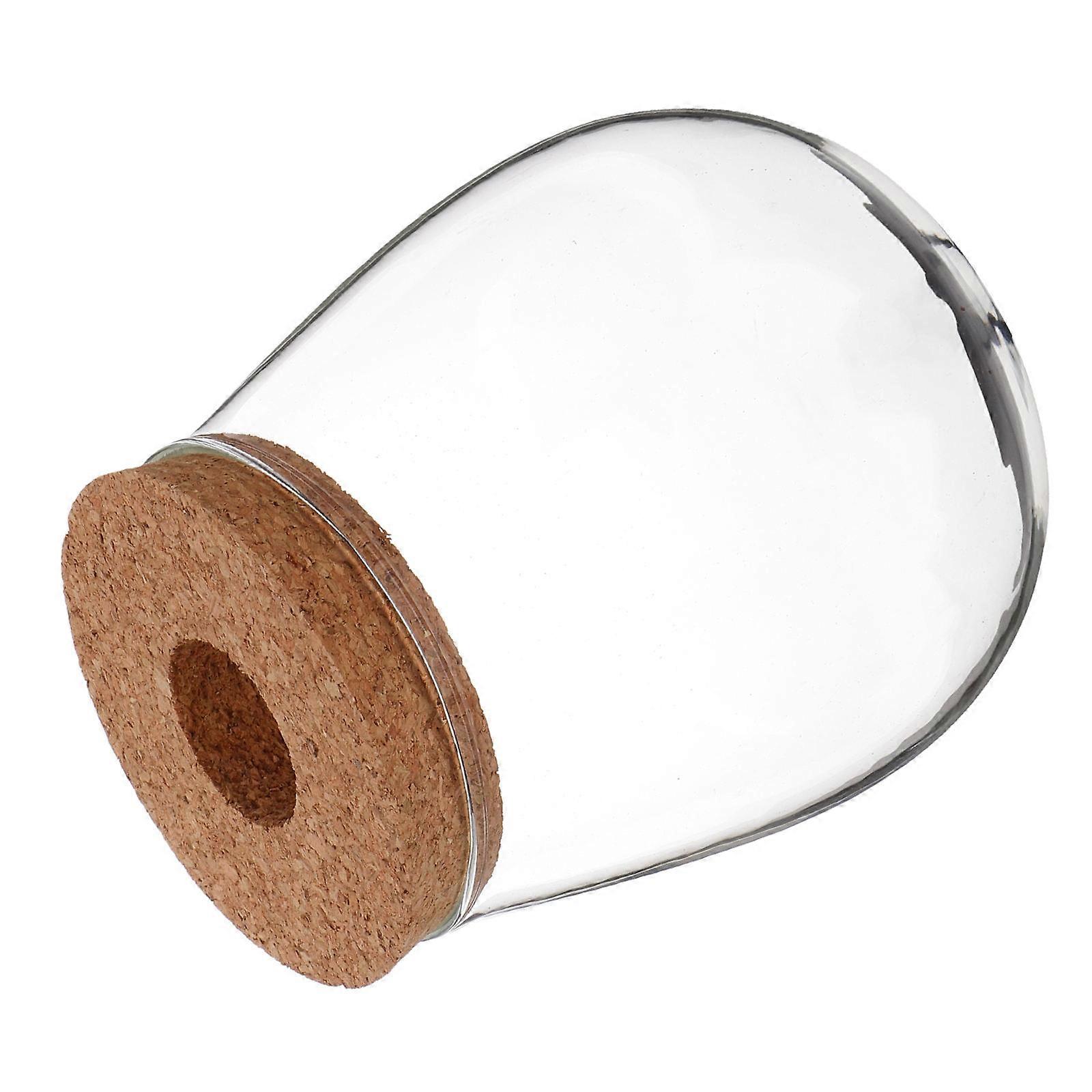 Creative Hydroponic Glass Vase for Plants with Low Maintenance