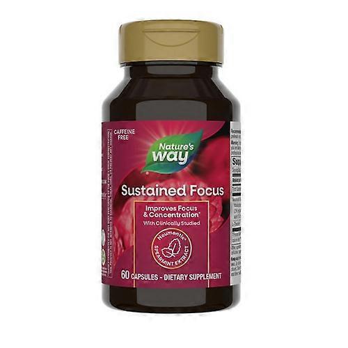 Nature's Way Sustained Focus,60 Caps (Pack of 1)