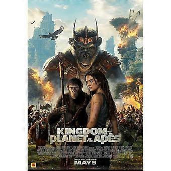 KINGDOM OF THE PLANET OF THE APES FILM Stressverlichtende Puzzel V0258