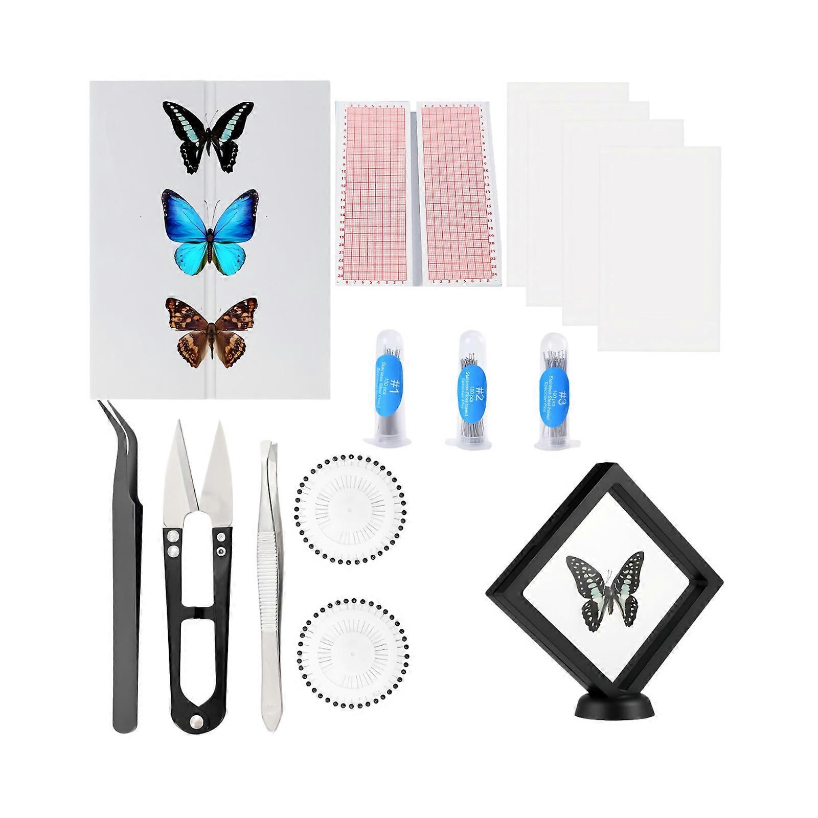 Full Insect Display Package With Solid Acrylic Workboard Calibrated Placement Guide And Smooth Metal Components For Learning Multicolor