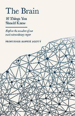 Hjernen: 10 ting du bør vide