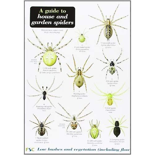 A Guide to House and Garden Spiders
