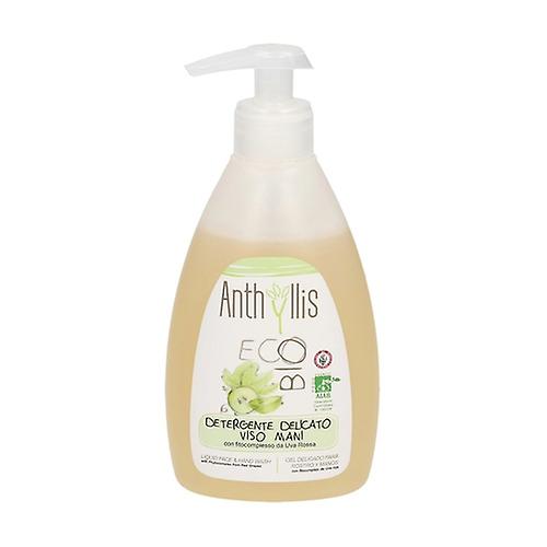 Eco Facial and Hand Gel 300 ml