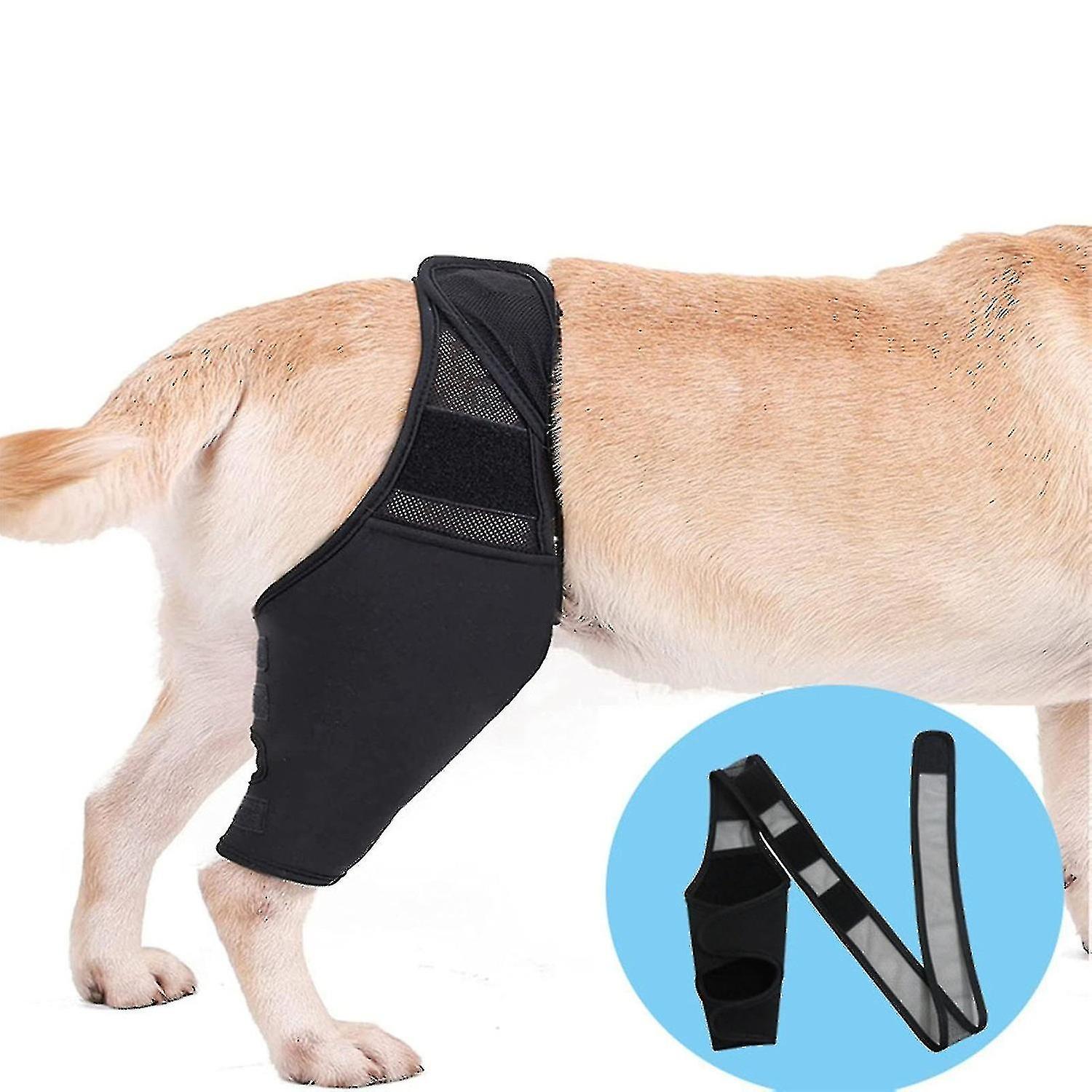 Dog Knee Brace, Leg Support Brace for Acl and Ccl Tears, Better Recovery, Adjustable Back Leg Brace