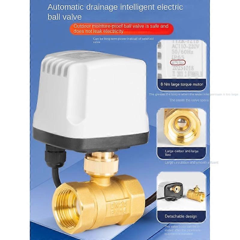 Waterproof timing electric ball valve 220V intelligent circulation automatic watering two~wire one~control normally closed WQ6420