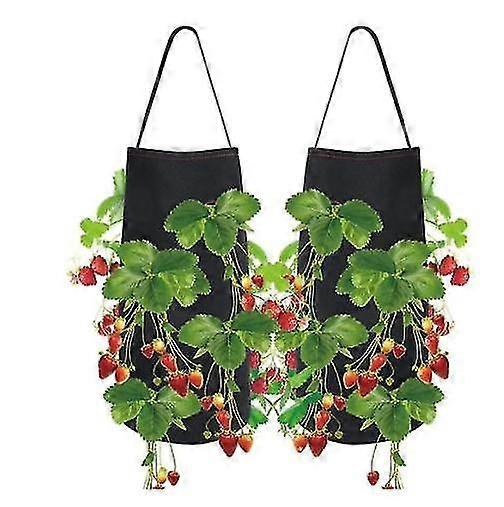 Felt Strawberry Planting Bag