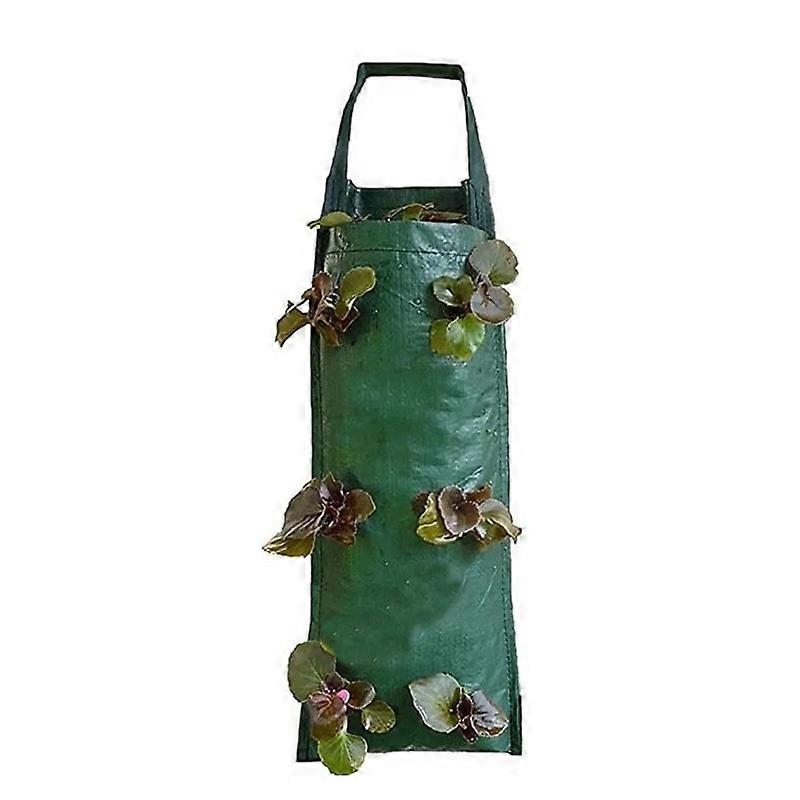 6-Hole Hanging Plant Growing Kits Strawberry Bag Upside Down Planter Tomato Potato Vegetable Flower Plant Bags Garden Decoration